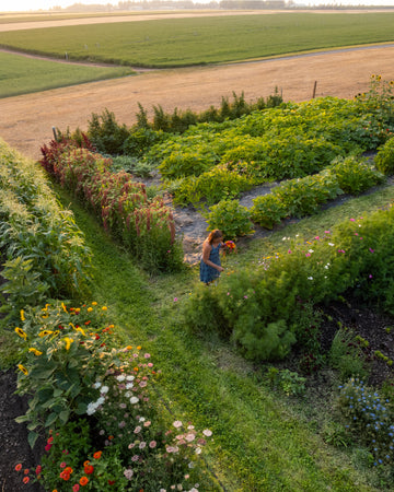 Farm Membership / Gift Cards