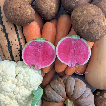 Farmer's Choice Veggie Box