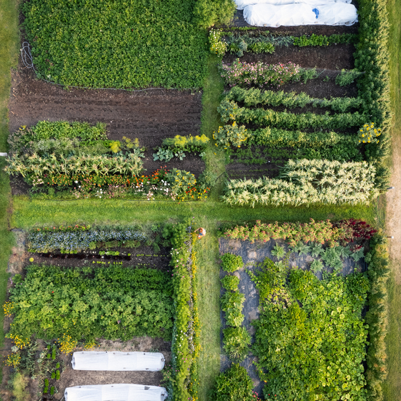 Garden Planning Workshop