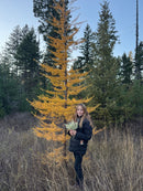 Kids and Families Field Botany Day - September 17th-1