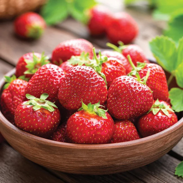 12 Strawberry Plants