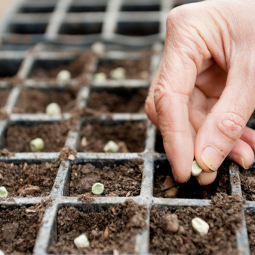Seed Starting Workshop
